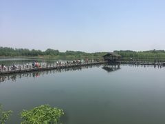-溱湖国家湿地公园