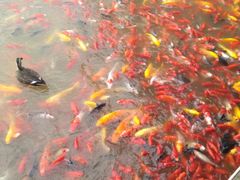 -泰安地下龙宫景区