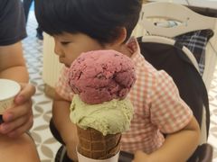 -CREAM STORY意大利手工冰淇淋&甜品(万象前海店)