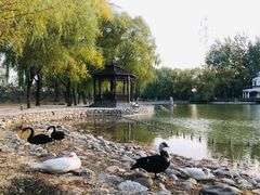 -蓝地时尚庄园(北京清河营地铁站店)