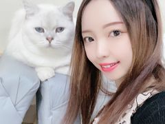 -鼓捣猫呢主题猫咖店