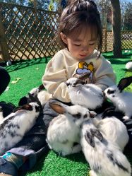 -萌宠亲子动物乐园(槐房万达店)