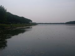 -丁香湖公园