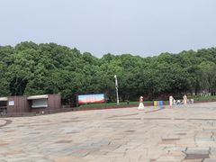 -宜兴龙背山森林公园