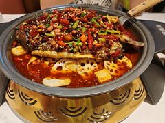 -锦尚阁烤鱼(望京新荟城店)