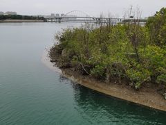 -五缘湾湿地公园