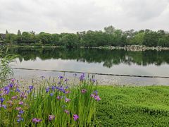 -龙抄手食府(浣花北路店)