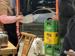 -李开心火锅馆(回兴店)