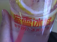 -蜜雪冰城(乐松店)