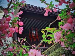 -上海醉白池公园