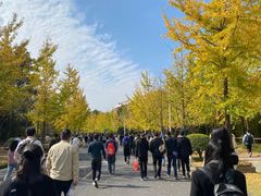 -浙江农林大学(东湖校区)
