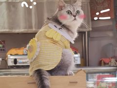 -小时光咖啡馆(北锣鼓巷店)