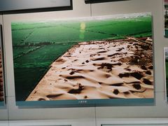 -三五九旅屯垦纪念馆