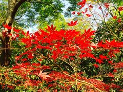 -苏州河梦清园环保主题公园