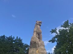 -帽儿山国家森林公园