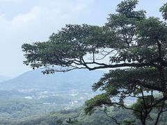 -广州市帽峰山景区