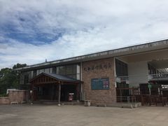 -九曲溪竹筏码头