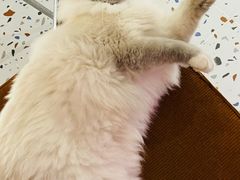 -FULL MOON满月咖啡