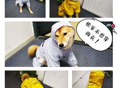 -爱乐蒙艺术·古筝 钢琴 声乐(科华校区)