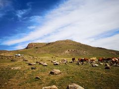 -石条山
