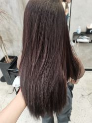 -蚂蚁造型俱乐部