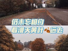 -美人鱼