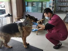 -瑞鹏宠物医院·内科·中兽医·骨科(苗圃店)