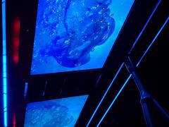 -海洋公园海洋列车－海滨站