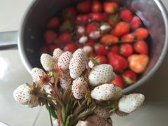 -北川羌城旅游区