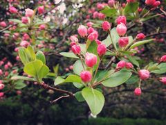 -陕西师范大学(雁塔校区)