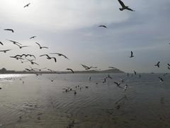 -青岛第三海水浴场