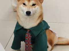 -怪兽屋·羊驼·猫咖·狗咖(俊华广场店)