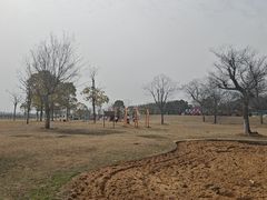 -梁子湖东篱老屋生态庄园