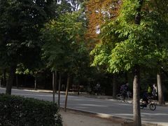 -丽池公园