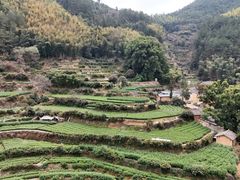 -杨家堂村