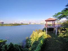 -立新湖公园