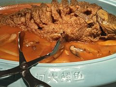 -阿五黄河大鲤鱼(英协路店)