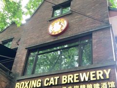-Boxing Cat Brewery拳击猫精酿啤酒馆(永福店)