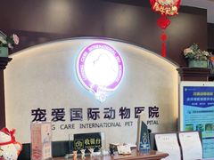 -宠爱国际动物医院·疑难骨科·心肾内科·皮肤科(太阳宫店)