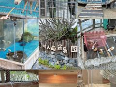 -珠海海泉湾度假区