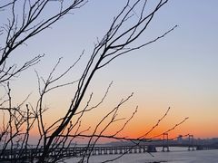 -星海湾跨海大桥