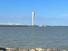 -上海吴淞炮台湾国家湿地公园