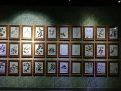 -广东中医药博物馆