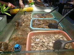 -钱小奴创意自助餐厅(仙居吾悦店)