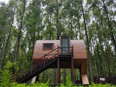 -黄海国家森林公园