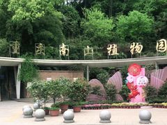 -南山植物园