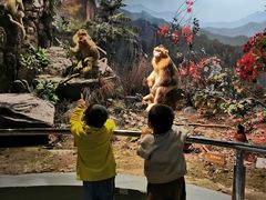 -陕西自然博物馆