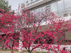 -北京奥林匹克公园