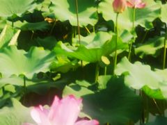 -上海市保健医疗中心