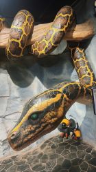 -Zoolung Zoolung动物主题公园(海信广场店)